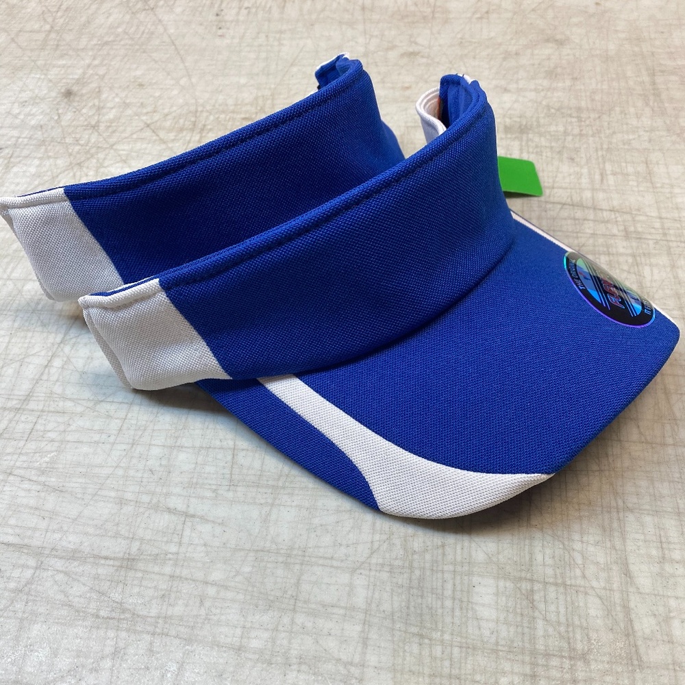 Visors